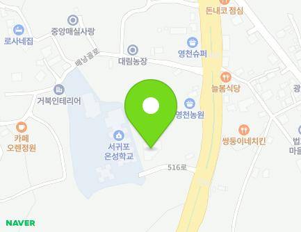 제주특별자치도 서귀포시 516로 453 (상효동, 제주시온교회) 지도