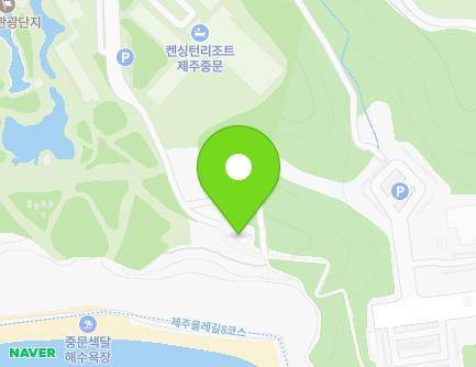제주특별자치도 서귀포시 중문관광로72번길 29-51 (색달동, 전망대식당) 지도