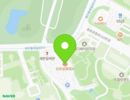 제주특별자치도 서귀포시 중문관광로72번길 29-9 (색달동, 신우성타운) 지도