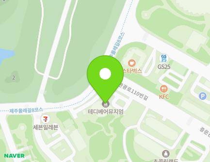 제주특별자치도 서귀포시 중문관광로110번길 31 (색달동, 태디베어뮤지엄) 지도