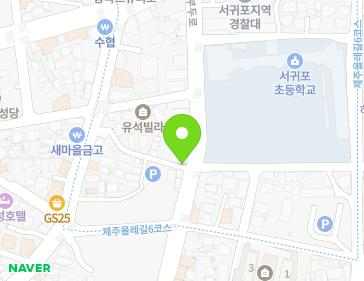 제주특별자치도 서귀포시 솔동산로11번길 9 (서귀동) 지도