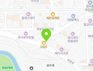 제주특별자치도 서귀포시 태평로 355 (서귀동) 지도