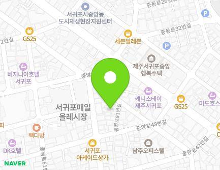 제주특별자치도 서귀포시 중정로73번길 20-9 (서귀동) 지도