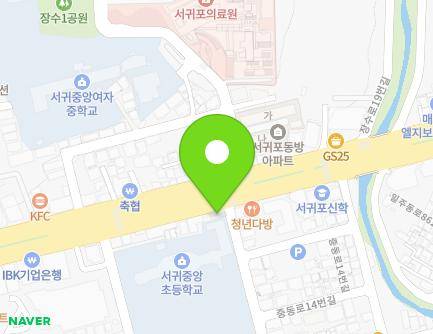 제주특별자치도 서귀포시 일주동로 8651 (서귀동) 지도