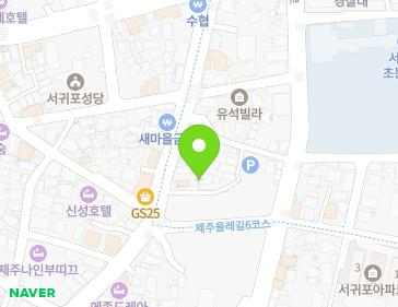 제주특별자치도 서귀포시 솔동산로11번길 8-12 (서귀동) 지도