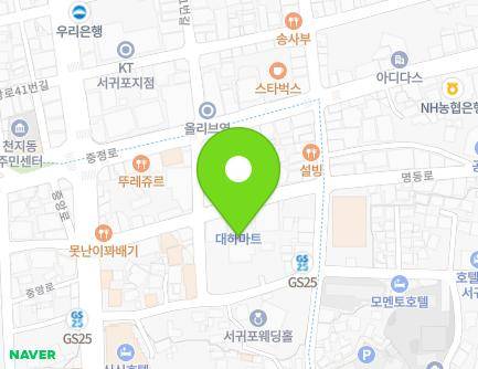 제주특별자치도 서귀포시 명동로 14 (서귀동) 지도