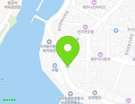 제주특별자치도 서귀포시 칠십리로 47 (서귀동, 태성어구) 지도