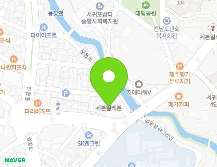제주특별자치도 서귀포시 중정로 123 (서귀동, 선경오피스텔) 지도