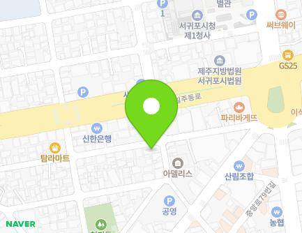 제주특별자치도 서귀포시 중앙로89번길 13 (서귀동, 새서울마켓) 지도