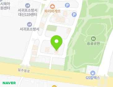 제주특별자치도 서귀포시 서호남로32번길 24 (서호동) 지도