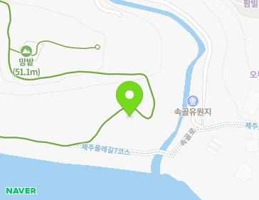 제주특별자치도 서귀포시 속골로 13-36 (서호동) 지도