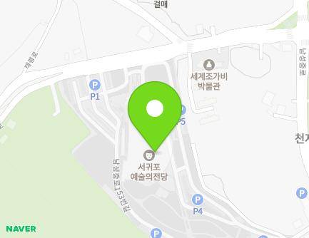 제주특별자치도 서귀포시 태평로 270 (서홍동, 서귀포예술의전당) 지도