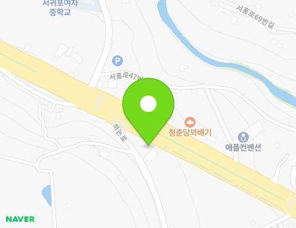제주특별자치도 서귀포시 하논로 9 (서홍동) 지도