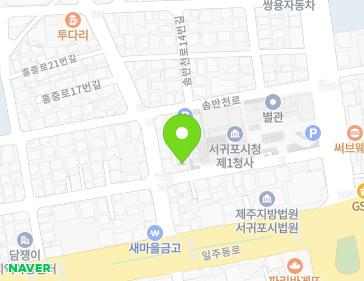 제주특별자치도 서귀포시 중앙로101번길 14 (서홍동) 지도