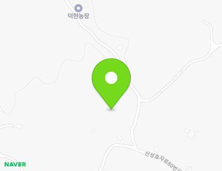 제주특별자치도 서귀포시 성산읍 산성효자로114번길 63-1 지도