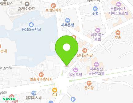 제주특별자치도 서귀포시 성산읍 고성오조로 48-1 (보룡빵제과) 지도