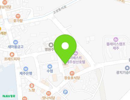 제주특별자치도 서귀포시 성산읍 동류암로36번길 6 (성산포스카이호텔) 지도