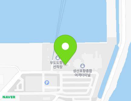 제주특별자치도 서귀포시 성산읍 성산등용로 130-19 (수협직판장) 지도