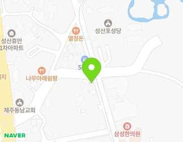 제주특별자치도 서귀포시 성산읍 고성오조로 107-1 (현대공업사) 지도