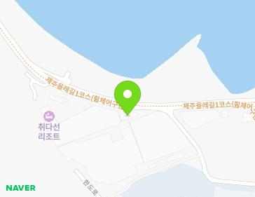 제주특별자치도 서귀포시 성산읍 해맞이해안로 2698 지도