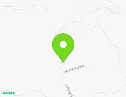 제주특별자치도 서귀포시 서리오름로55번길 114 (신효동) 지도