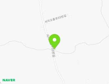 제주특별자치도 서귀포시 서리오름로55번길 100 (신효동) 지도