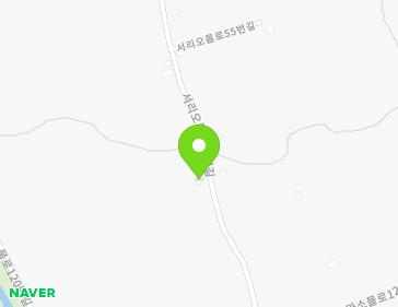 제주특별자치도 서귀포시 서리오름로55번길 99 (신효동) 지도