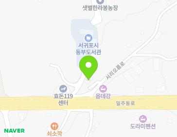 제주특별자치도 서귀포시 서리오름로 243 (신효동) 지도