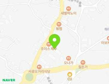 제주특별자치도 서귀포시 안덕면 녹차분재로 12 (라임팰리스) 지도