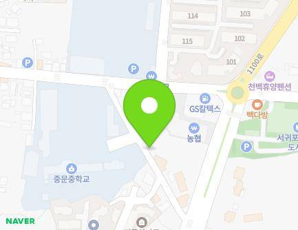 제주특별자치도 서귀포시 천제연로232번길 11 (중문동) 지도