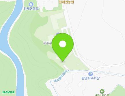 제주특별자치도 서귀포시 중문상로17번길 62 (중문동, 천제사) 지도