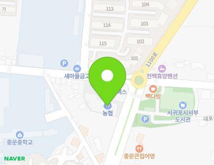 제주특별자치도 서귀포시 천제연로 242 (중문동, 중문농협하나로마트) 지도