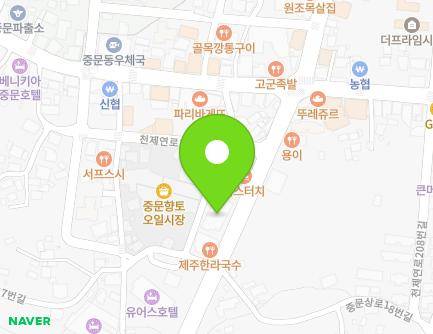제주특별자치도 서귀포시 천제연로188번길 15 (중문동, 예그린하우스) 지도
