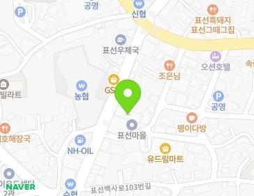 제주특별자치도 서귀포시 표선면 표선동서로 236 지도