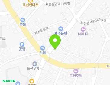 제주특별자치도 서귀포시 표선면 표선동서로 252 지도
