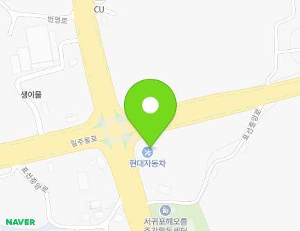 제주특별자치도 서귀포시 표선면 표선중앙로 5 (현대자동차) 지도