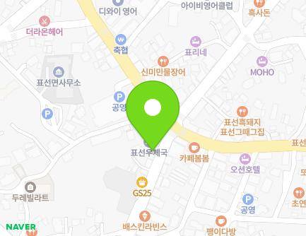 제주특별자치도 서귀포시 표선면 표선동서로 243-1 (골드피아) 지도