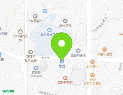 제주특별자치도 서귀포시 효돈로 166 (하효동, 효돈농협) 지도