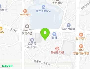 제주특별자치도 서귀포시 효돈로 164-4 (하효동) 지도