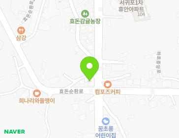 제주특별자치도 서귀포시 효돈순환로 252 (하효동) 지도