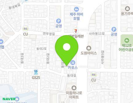 제주특별자치도 제주시 동대1길 4 (건입동, 입동빌라) 지도