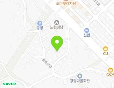 제주특별자치도 제주시 광평동로 31-10 (노형동) 지도