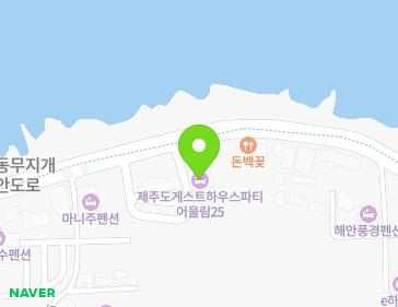 제주특별자치도 제주시 서해안로 258 (도두이동) 지도