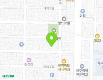 제주특별자치도 제주시 서사로12길 8 (삼도일동) 지도