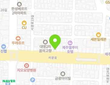 제주특별자치도 제주시 서광로 231-1 (삼도일동) 지도