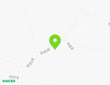 제주특별자치도 제주시 애월읍 금성6길 41 지도