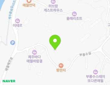 제주특별자치도 제주시 애월읍 부룡수길 13 (밀레니엄) 지도
