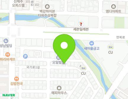 제주특별자치도 제주시 국기로1길 17 (연동) 지도