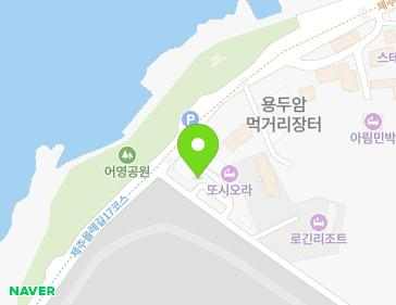 제주특별자치도 제주시 서해안로 442-1 (용담삼동) 지도