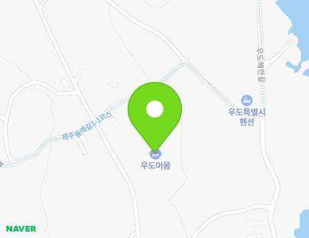 제주특별자치도 제주시 우도면 조일길 44 지도